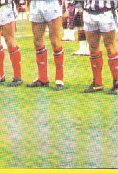 Team Photo Scotland samolepka Semic EM 92 #87